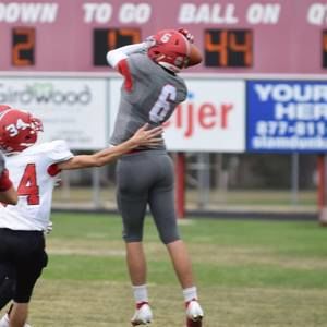 Meet your Posher, Dakota